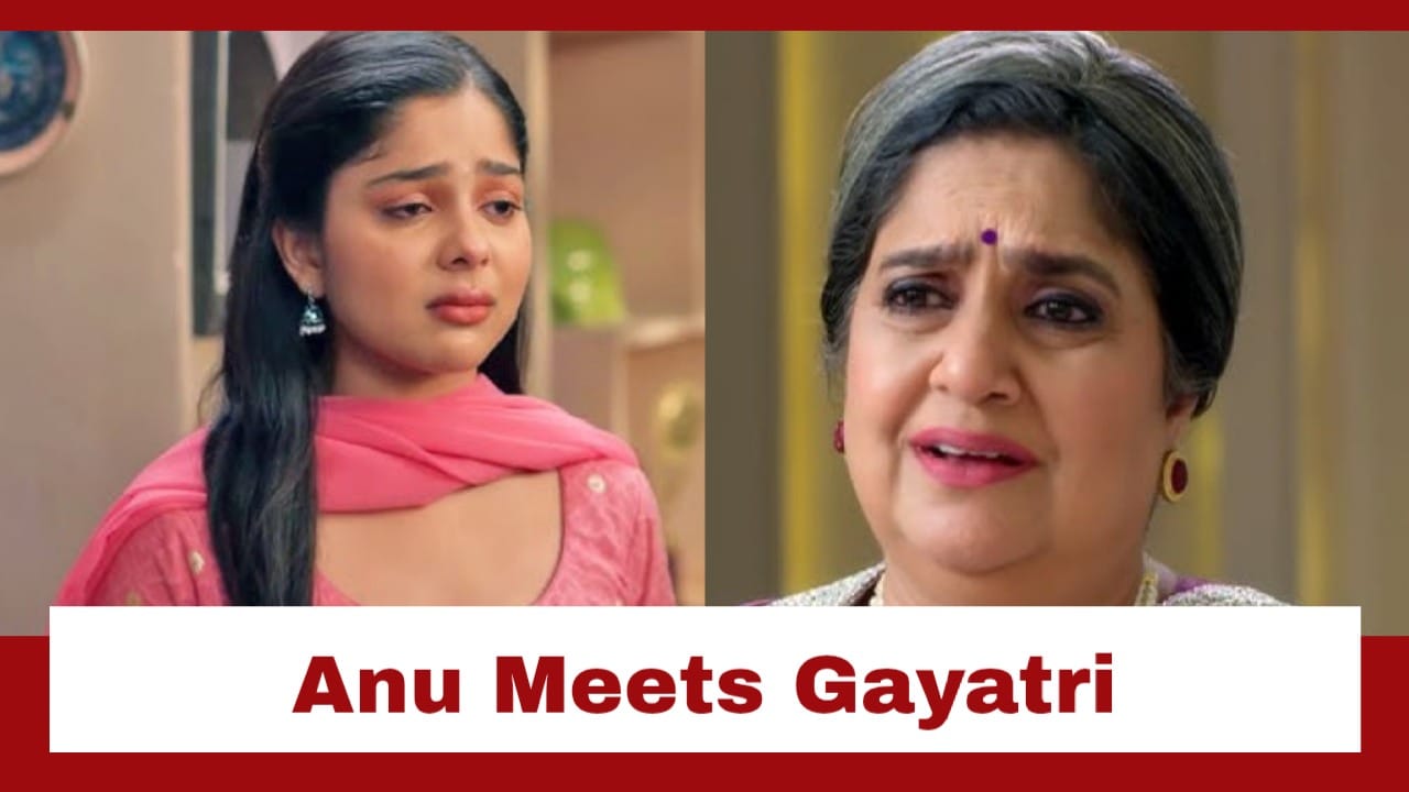 Tumm Se Tumm Tak Upcoming Twist: Finally!! Anu meets Gayatri at the party; Will this moment come with its own surprises? 978566