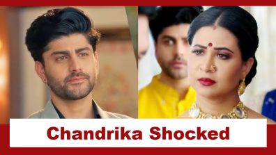 Vasudha Upcoming Twist: Chandrika sees Dev’s desperate and aggressive side; gets upset and falls sick