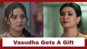 Vasudha Upcoming Twist: Vasudha gets shocked at her workplace; bags a gift from Chandrika