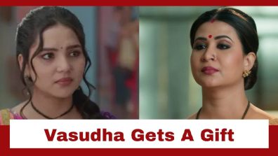 Vasudha Upcoming Twist: Vasudha gets shocked at her workplace; bags a gift from Chandrika