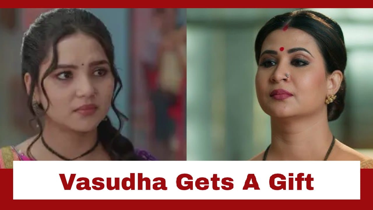 Vasudha Upcoming Twist: Vasudha gets shocked at her workplace; bags a gift from Chandrika 978573