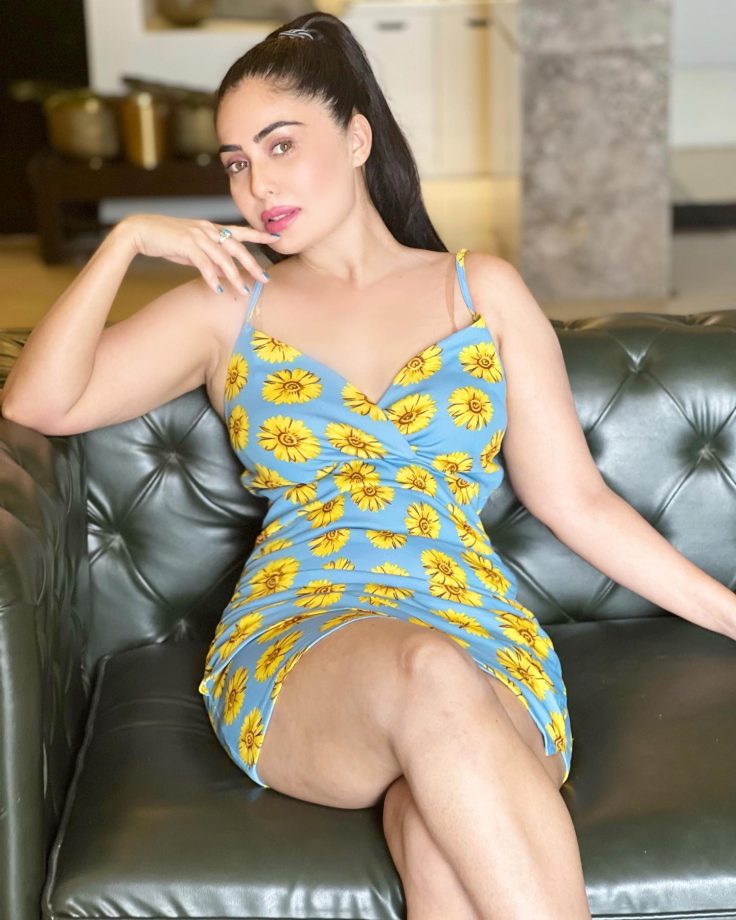 Zee TV Show Lakshmi Niwas Cast, Time, Release Date, OTT Platform, And More 981433