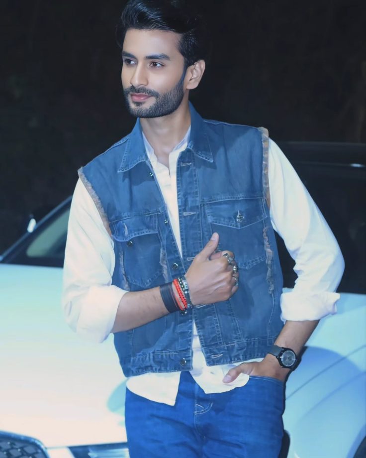 Zee TV Show Lakshmi Niwas Cast, Time, Release Date, OTT Platform, And More 981440