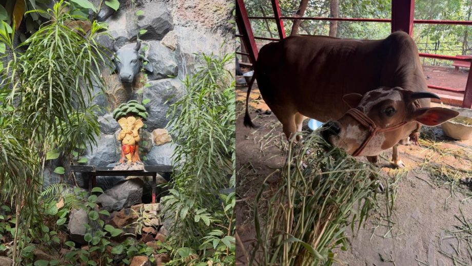 Ananya Panday Is A Spiritual Soul 985099