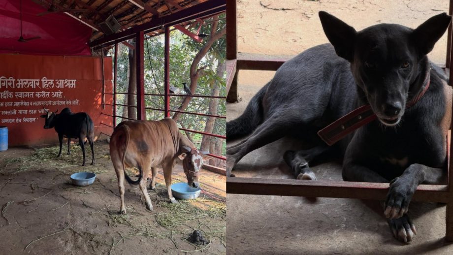 Ananya Panday Is A Spiritual Soul 985100