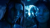 Avatar: Fire and Ash Day 19 Box Office Collection: Film Remains Steady in Third Week 982162