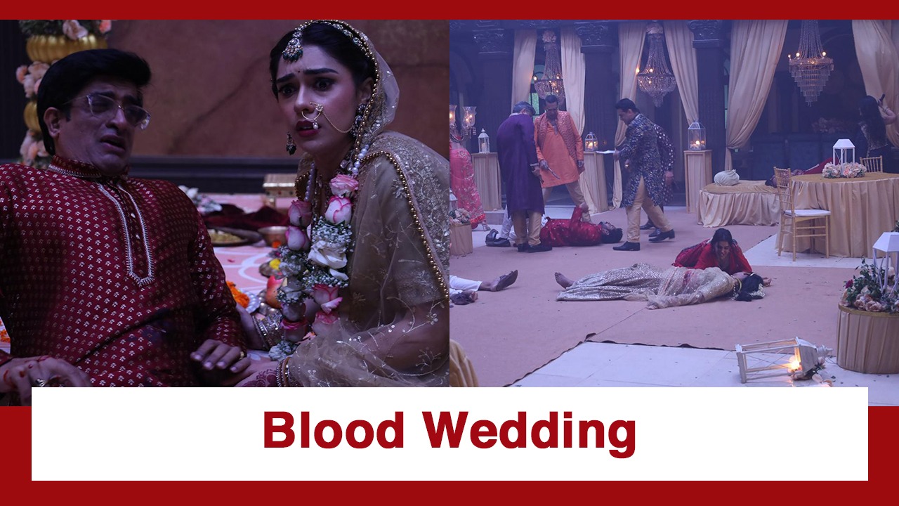 Colors TV's Naagin 7 gears up for its dark chapter with the 'blood wedding' 983086