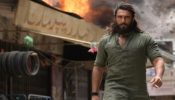 Dhurandhar Box Office Collection: Ranveer Singh's Action Film Sustains Momentum On Day 43, Nears 872 Cr 983671