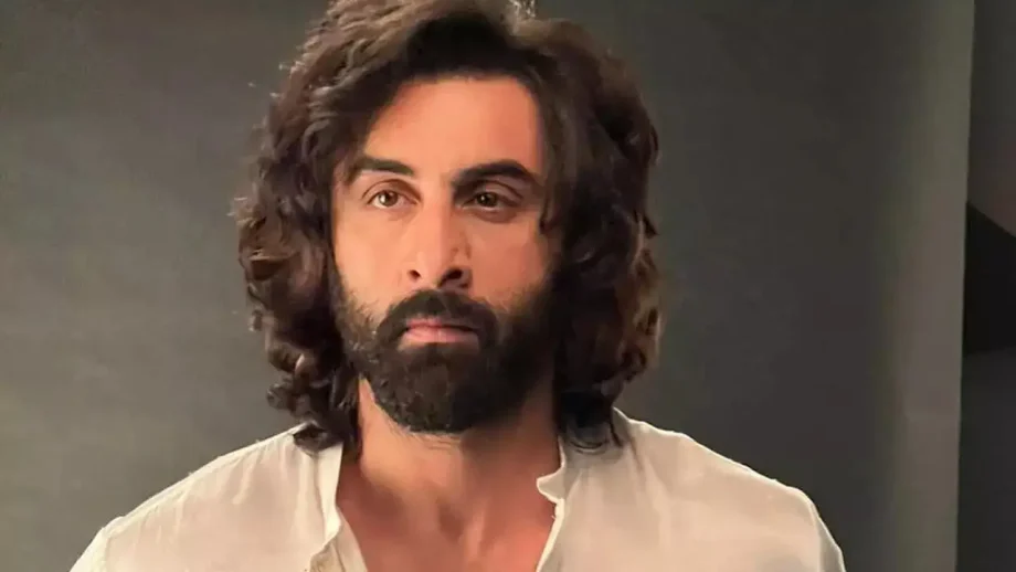 Dhurandhar Box Office STORM: Has Ranveer VS Ranbir debate finally ended? 982059