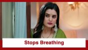 Jaane Anjaane Hum Mile Upcoming Twist: OMG!! Reet stops breathing; Viren decides to flee