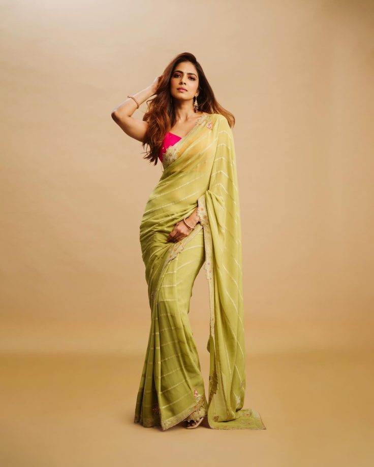 Malavika Mohanan Channels Her Desi Charm In Green Saree With Dori Blouse - See Pics 984153