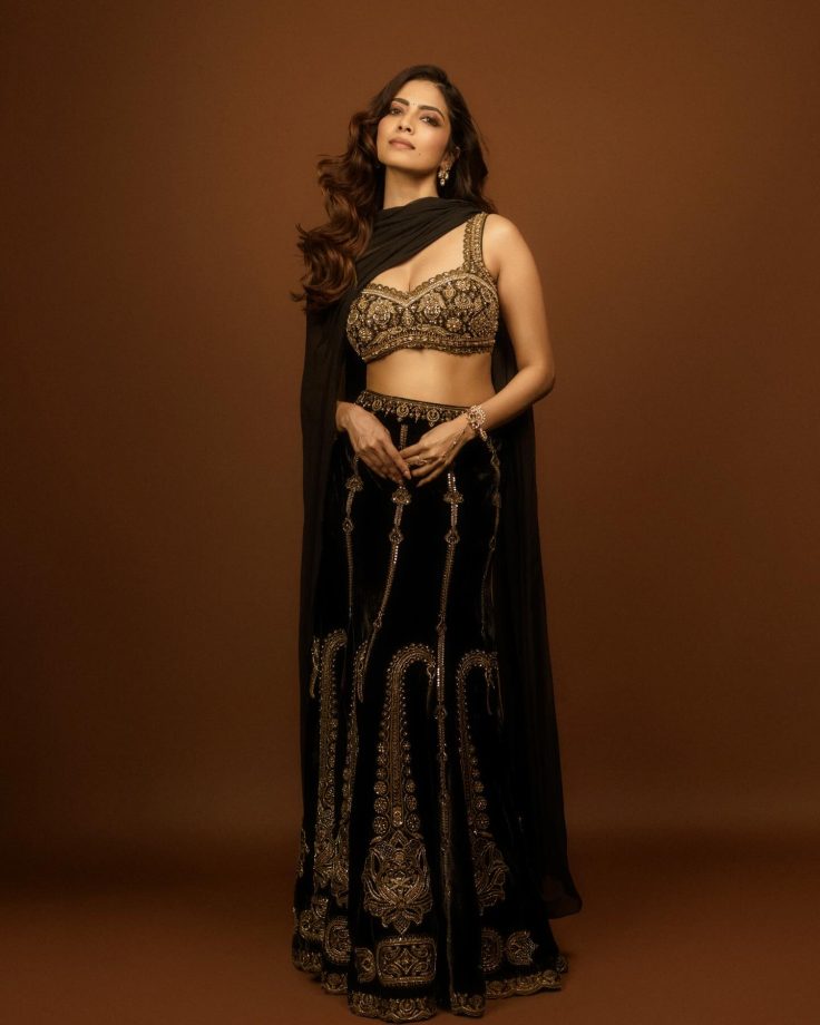 Malavika Mohanan Redefines Regal Glamour With a Modern Ethnic Look 983783