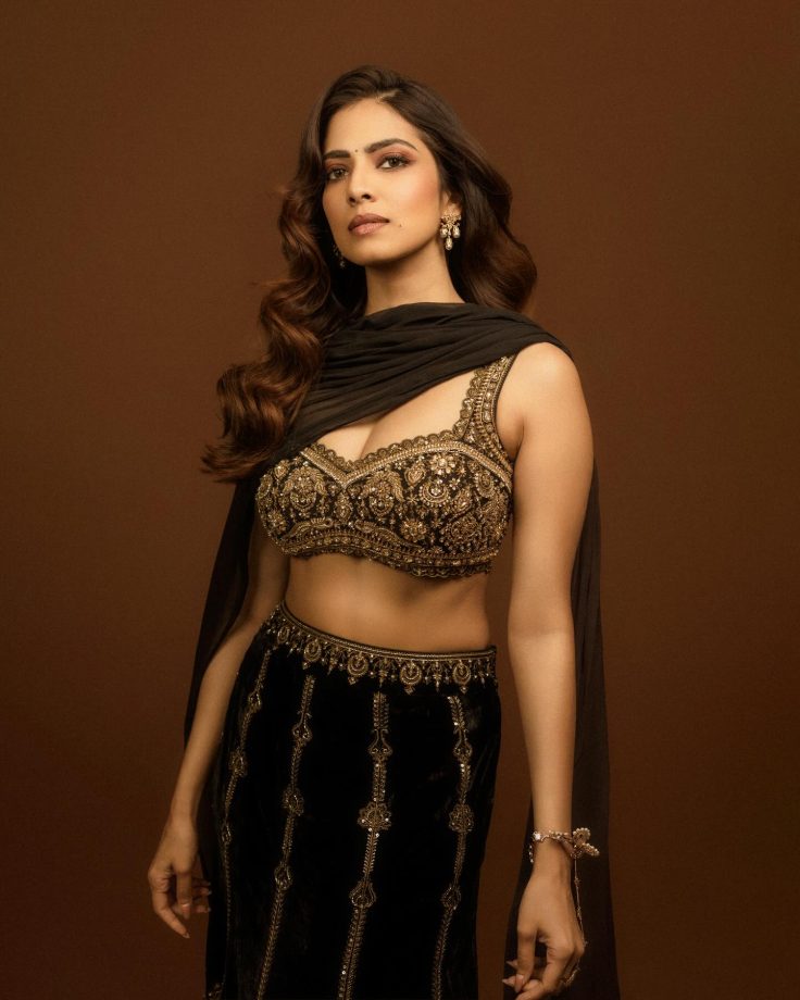 Malavika Mohanan Redefines Regal Glamour With a Modern Ethnic Look 983785