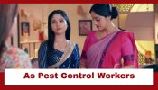 Mangal Lakshmi Upcoming Twist: Mangal and Lakshmi become pest control workers; Will Saumya get exposed?