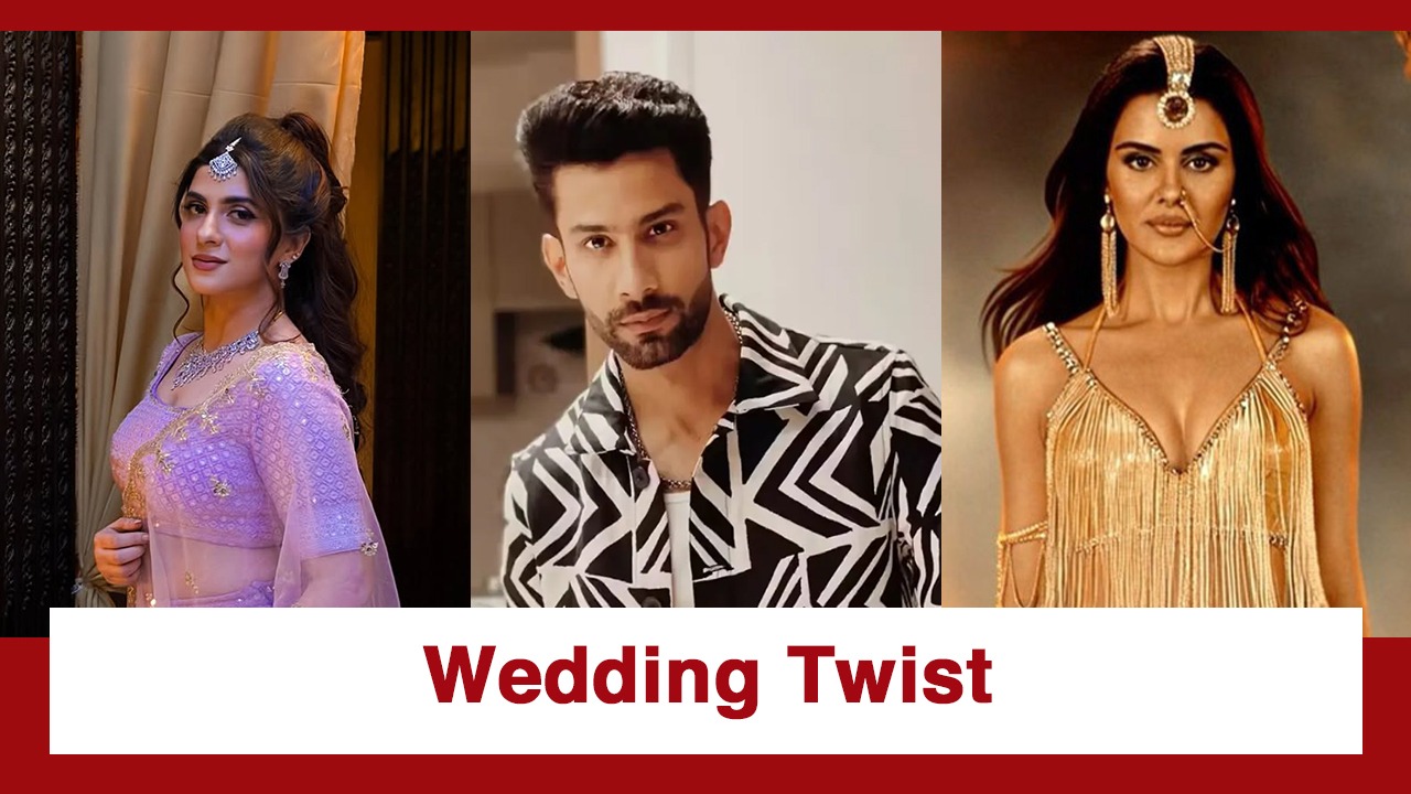 Naagin 7 Upcoming Twist: Pinky's wedding drama sees a twist; Vikram finds a new suitor 983916