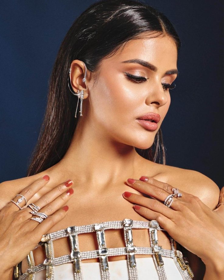 Priyanka Chahar Choudhary Brings Modern Grace to the Red Carpet 981930