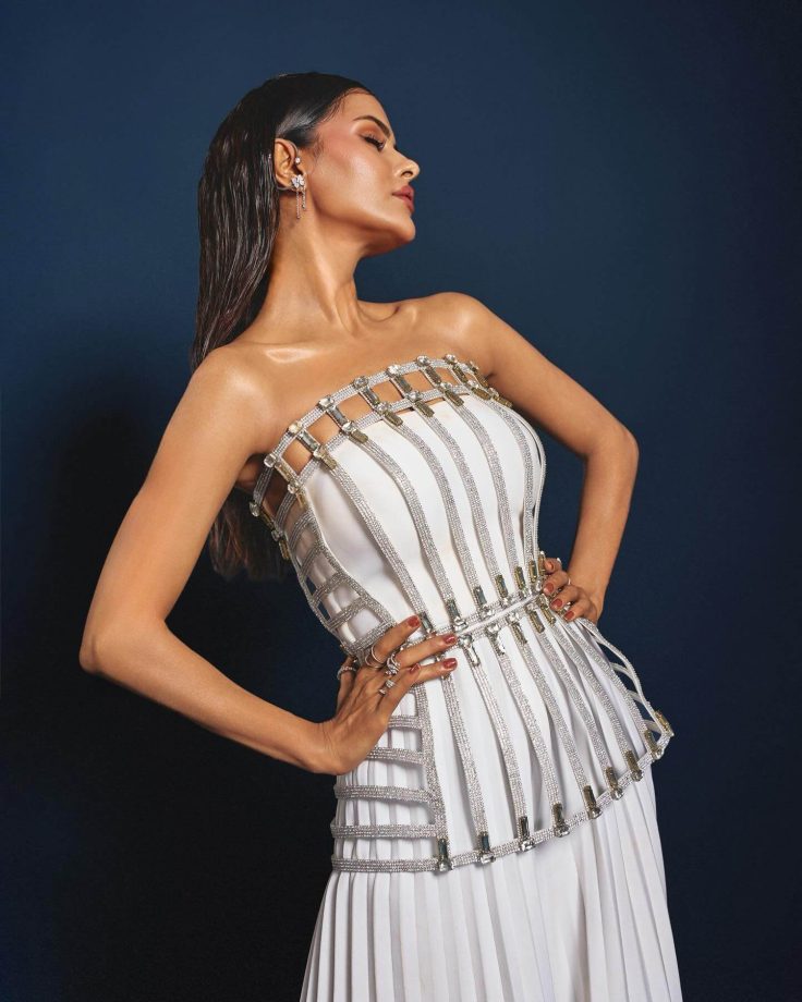 Priyanka Chahar Choudhary Brings Modern Grace to the Red Carpet 981934