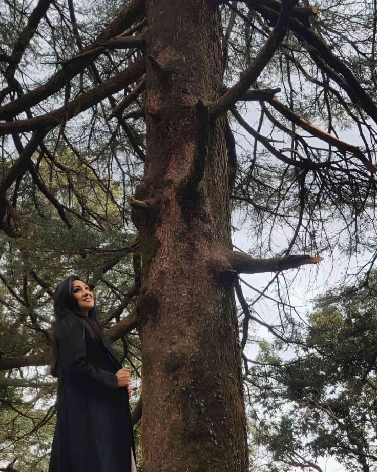 Rituparna Sengupta Finds Poetry in Stillness at St. John Church, McLeodganj 981883