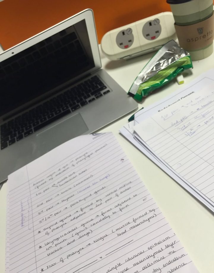 Sara Tendulkar’s Instagram ‘Go Back to 2016’ Trend Wins Hearts Online 983905