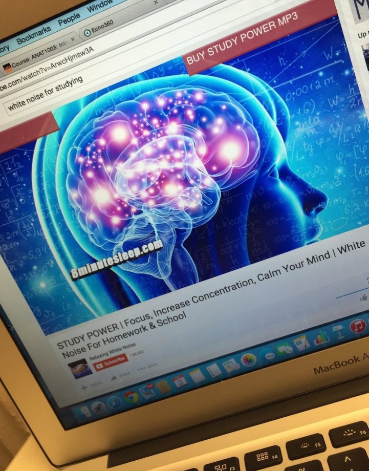 Sara Tendulkar’s Instagram ‘Go Back to 2016’ Trend Wins Hearts Online 983910