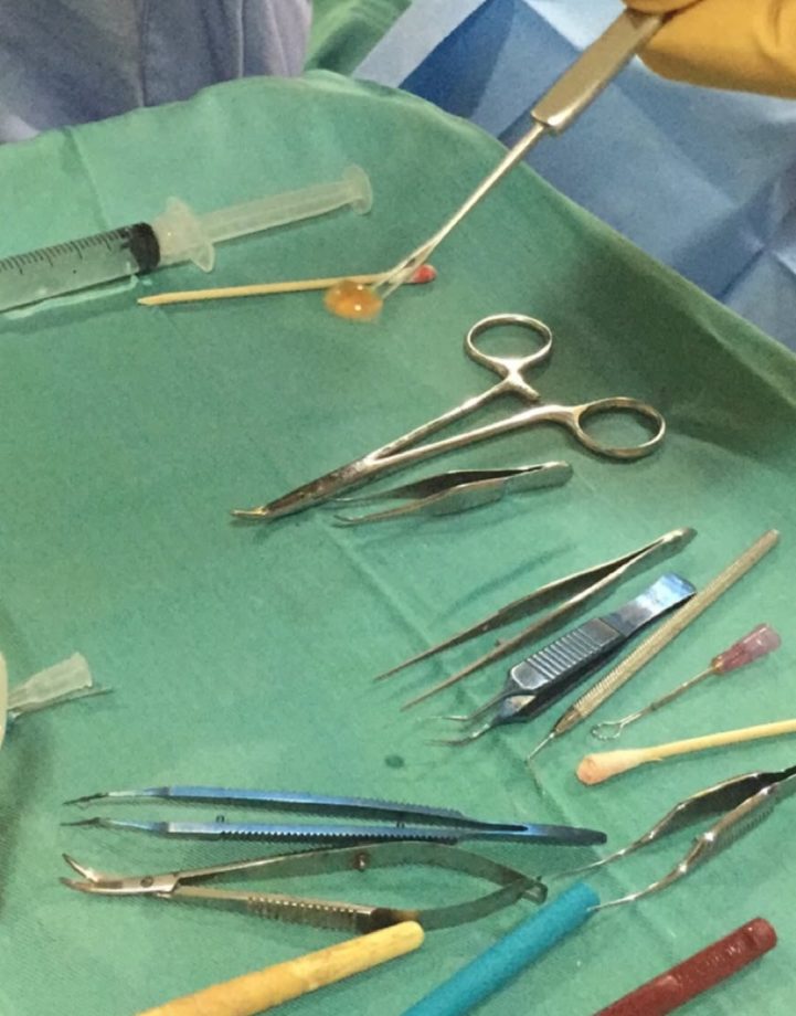 Sara Tendulkar’s Instagram ‘Go Back to 2016’ Trend Wins Hearts Online 983897