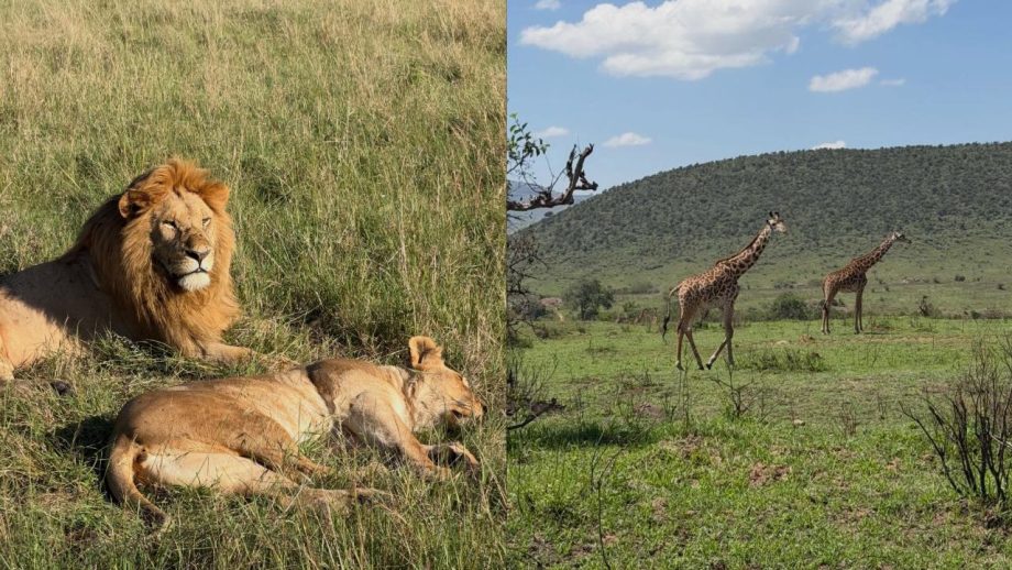 Shanaya Kapoor and Suhana Khan Ring in 2026 Their Own Way 982117