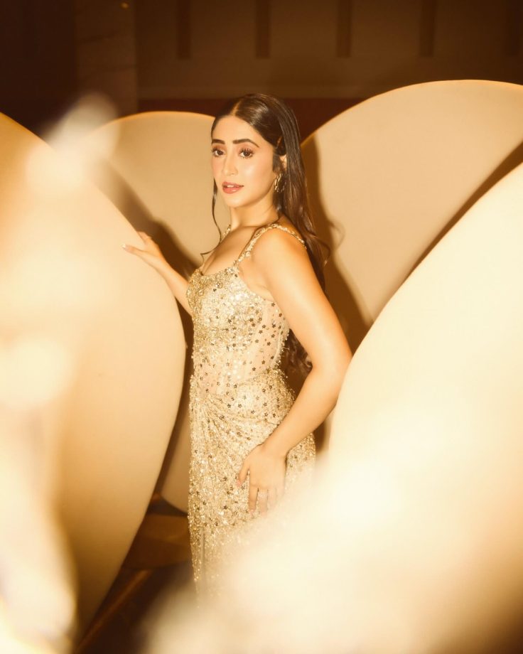 Shivangi Joshi Shines in Soft Gold Glamour with Effortless Grace 982712