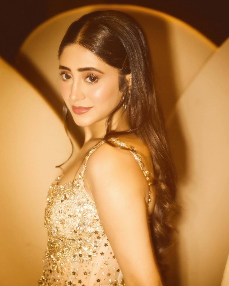 Shivangi Joshi Shines in Soft Gold Glamour with Effortless Grace 982704