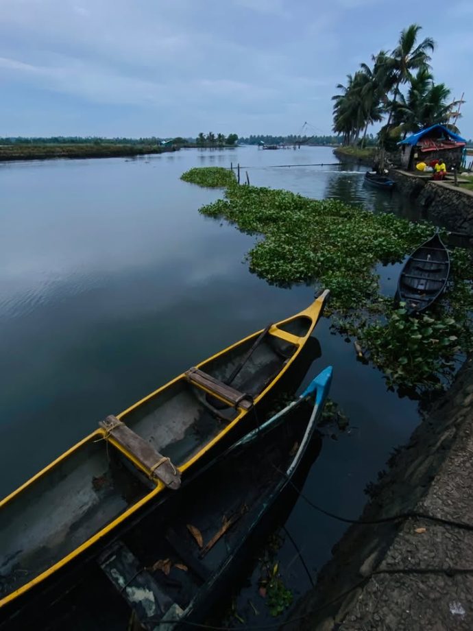 Stunning Malavika Mohanan Highlights Cultural Legacy: Find Out 985095