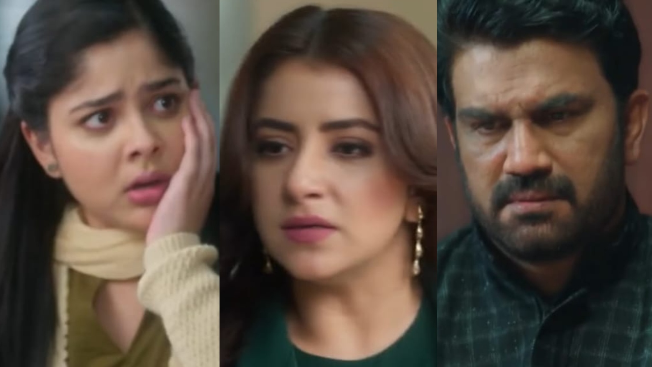 Tumm Se Tumm Tak Written Update 22 January 2026: Anu Volunteers To Search Arya; Meera's Slap Creates Drama 984260