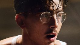 Marty Supreme Box Office Collection Day 21: Sports Drama Stays Stable in Third Week