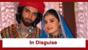 Jaane Anjaane Hum Mile Upcoming Twist: Raghav and Reet turn puppeteers for a cause; Will they succeed?