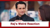 Lakshmi Niwas Upcoming Twist: Shocking!! Raj’s weird reaction to celebrating Holi with Bhoomika; What is the truth?