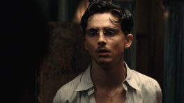 Marty Supreme Box Office Collection Day 19: Sports Drama Stays Strong in Third Week