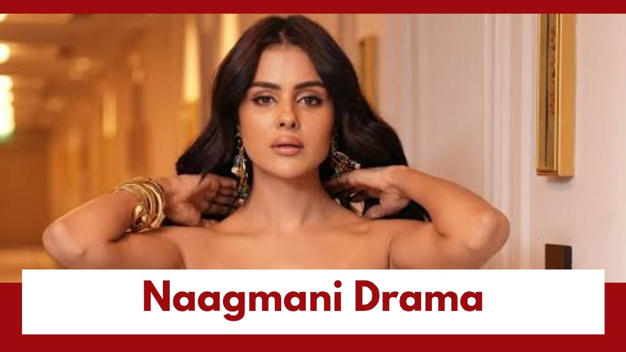 Naagin 7 Upcoming Twist: Ahana holds possession of Naagmani; major drama to come 986245