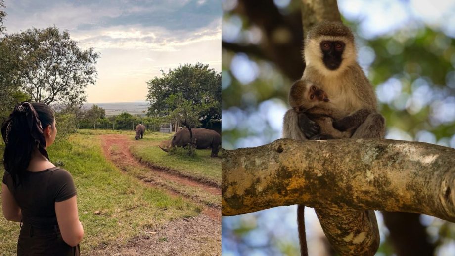 Sara Tendulkar Shares Dreamy Masai Mara Bridal Shower Moments for Bhabhi-to-Be Saniya 988049