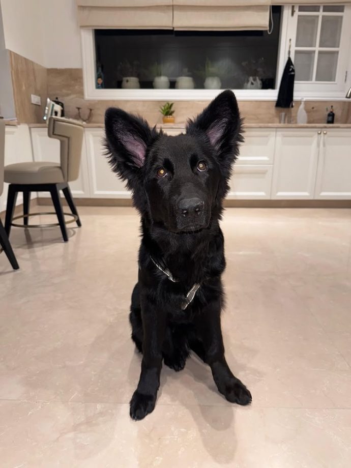 Shubman Gill’s ‘Lately’ Post Bares Open His Personal Life 985618