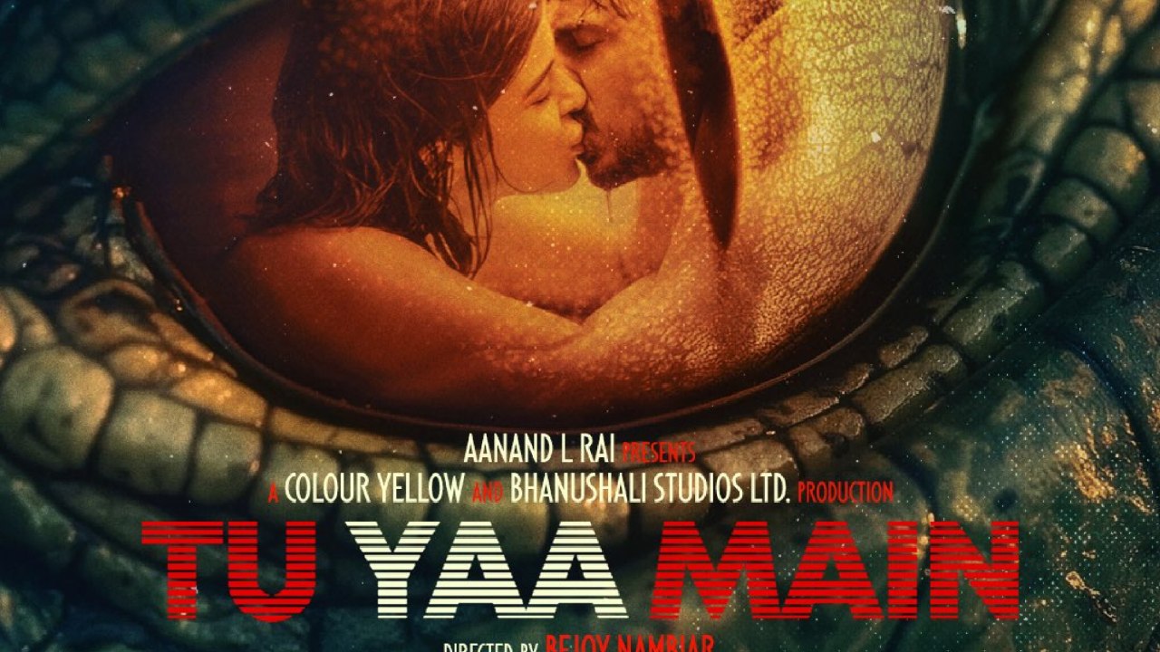 Tu Yaa Main Box Office Collection Day 14: Adarsh Gourav And Shanaya Kapoor’s Film Sees Minimal Growth 988705