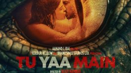 Tu Yaa Main Box Office Collection Day 16