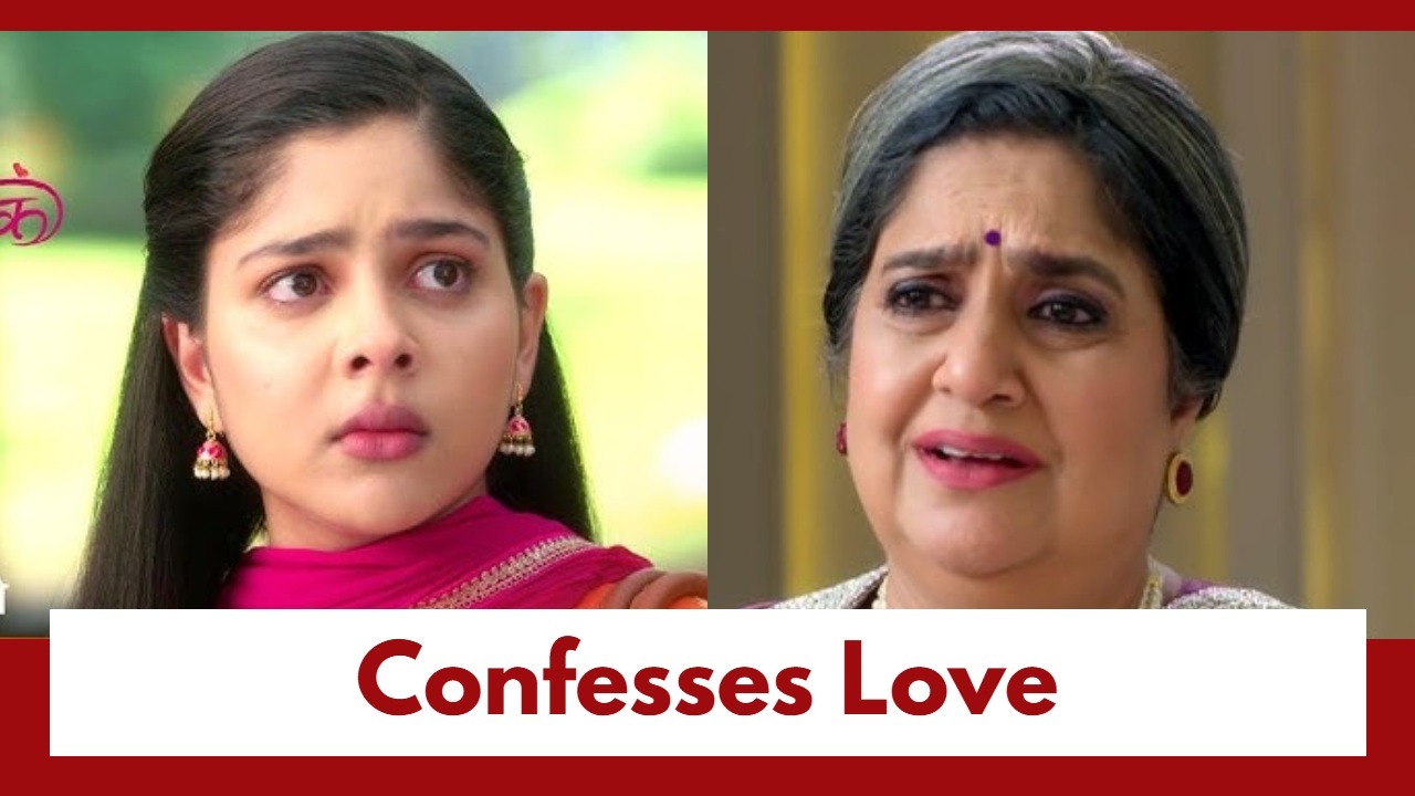 Tumm Se Tumm Tak Upcoming Twist: Anu confesses her love for Arya to Gayatri; Can Gayatri bring them together? 986691
