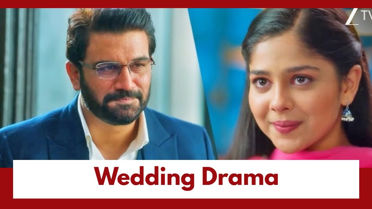 Tumm Se Tumm Tak Upcoming Twist: Wedding Drama! Can Jhende and Simran unite Arya and Anu? 987353