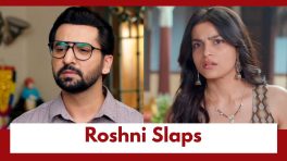 Udne Ki Aasha Upcoming Twist: OMG!! Roshni SLAPS Tejas; What is the reason?