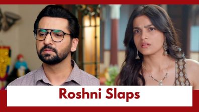 Udne Ki Aasha Upcoming Twist: OMG!! Roshni SLAPS Tejas; What is the reason?