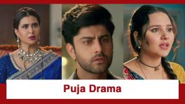 Vasudha Upcoming Twist: Chandrika organises a puja at home; makes Dev and Vasudha sit as a couple