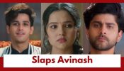 Vasudha Upcoming Twist: OMG!! Vasudha slaps Avinash; Avinash vows to set things right