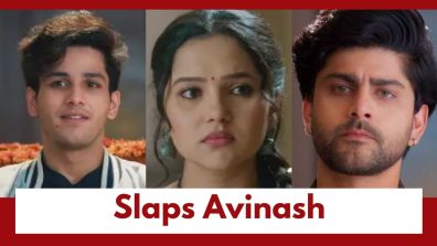 Vasudha Upcoming Twist: OMG!! Vasudha slaps Avinash; Avinash vows to set things right