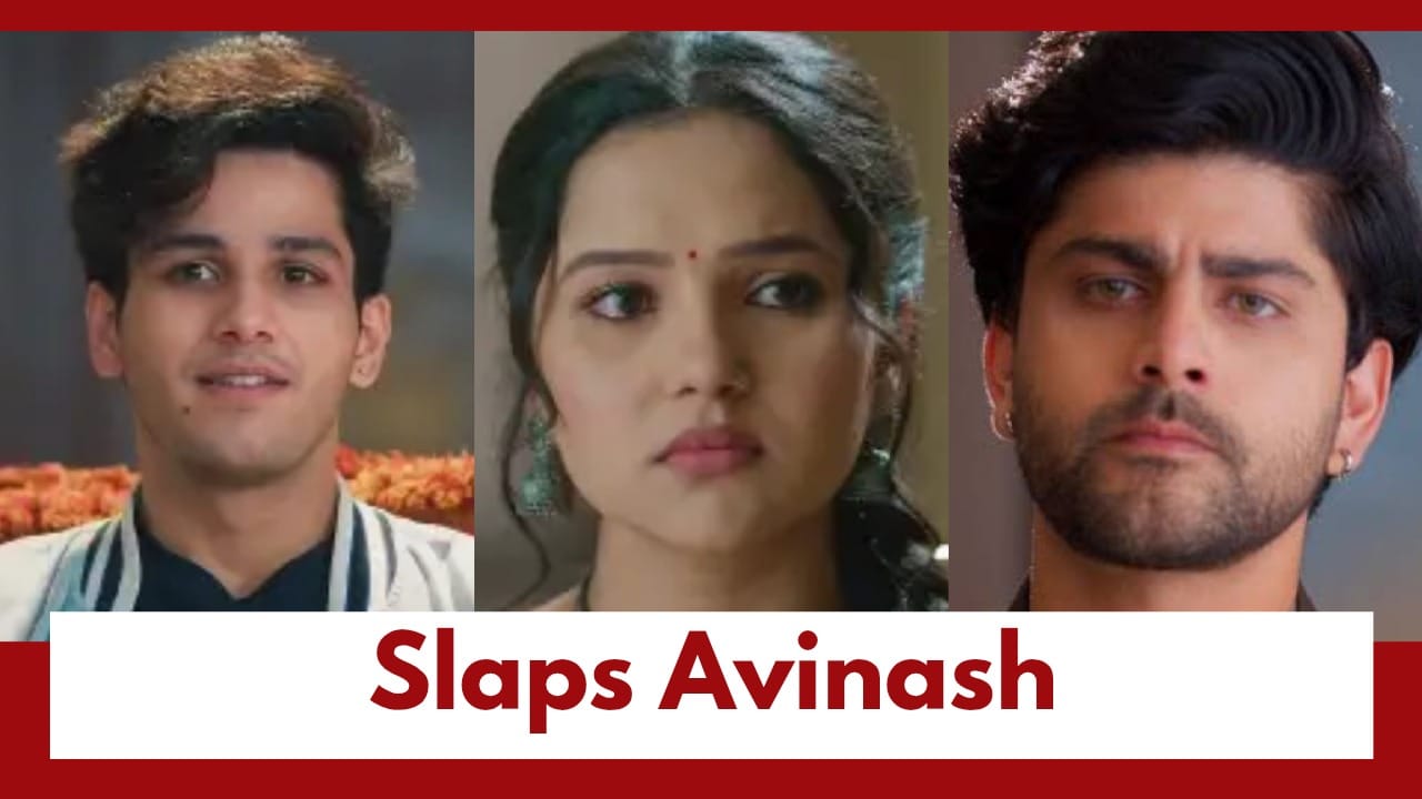 Vasudha Upcoming Twist: OMG!! Vasudha slaps Avinash; Avinash vows to set things right 985698