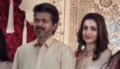 Actor Vijay and Trisha Spark Buzz with Joint Appearance at Chennai Wedding Reception 989745