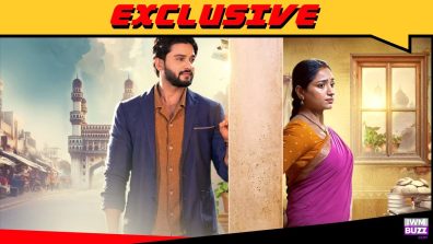 Confirmed: Star Plus’ show Shehzadi Hai Tu Dil Ki to end