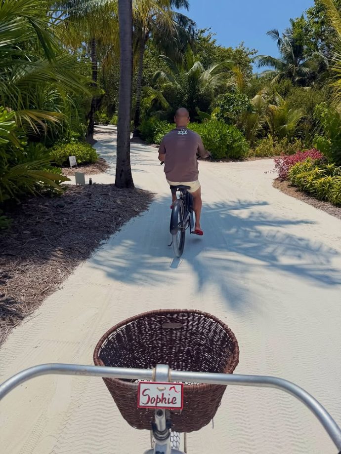 Cricket Before Everything: Shikhar Dhawan Watches T20 World Cup 2026 Amid Honeymoon With Sophie Shine 990114